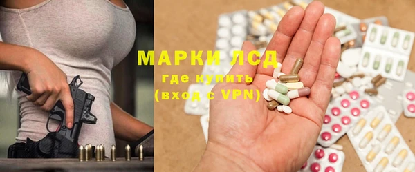 ГАЛЛЮЦИНОГЕННЫЕ ГРИБЫ Липки