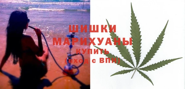 ГАЛЛЮЦИНОГЕННЫЕ ГРИБЫ Липки