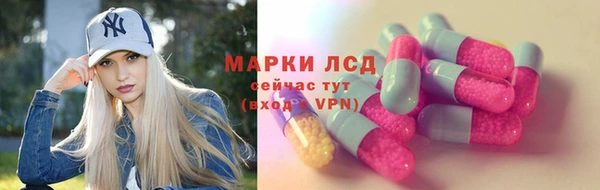 ГАЛЛЮЦИНОГЕННЫЕ ГРИБЫ Липки