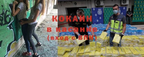 ГАЛЛЮЦИНОГЕННЫЕ ГРИБЫ Липки