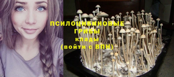 соль ск Лихославль