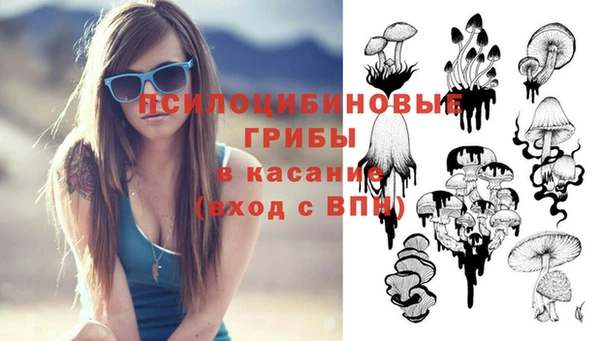 соль ск Лихославль