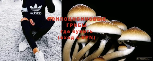 соль ск Лиски